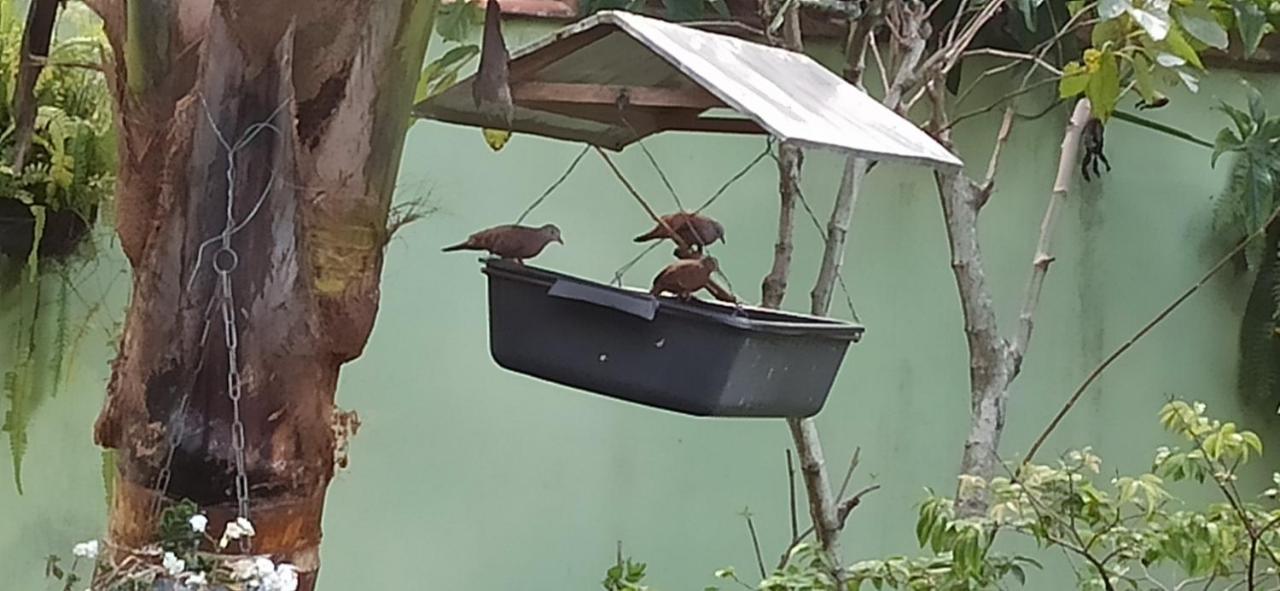 Espaco Aconchego Com Ar-Condicionado E Amplo Jardim Villa Caraguatatuba Kültér fotó