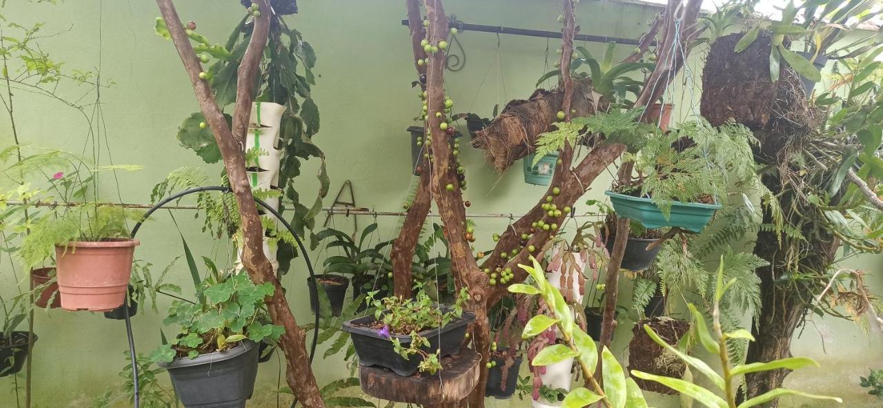 Espaco Aconchego Com Ar-Condicionado E Amplo Jardim Villa Caraguatatuba Kültér fotó