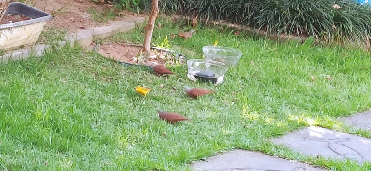 Espaco Aconchego Com Ar-Condicionado E Amplo Jardim Villa Caraguatatuba Kültér fotó